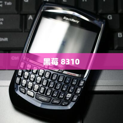 黑莓 8310