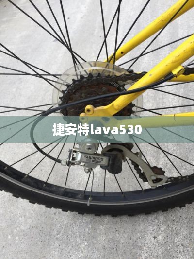 捷安特lava530