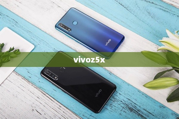 vivoz5x