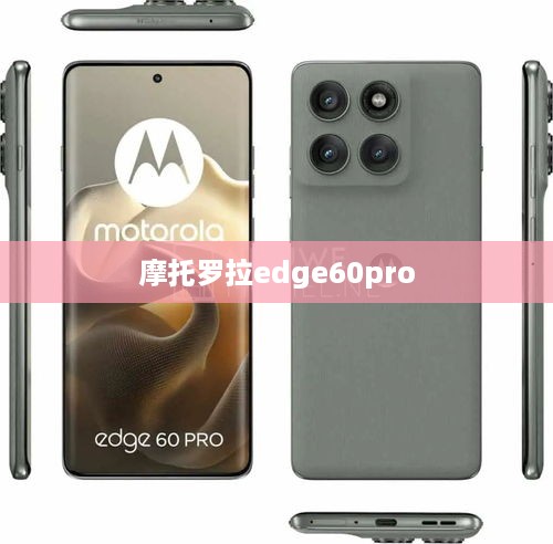 摩托罗拉edge60pro