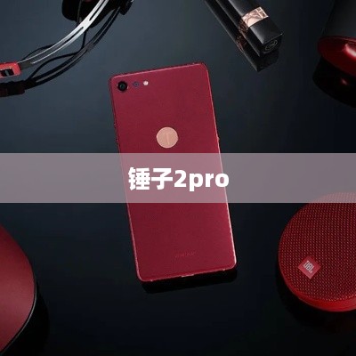 锤子2pro