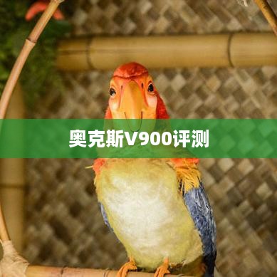 奥克斯V900评测