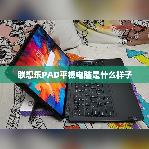 联想乐PAD平板电脑是什么样子