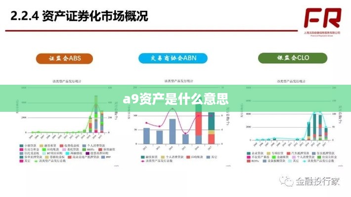a9资产是什么意思