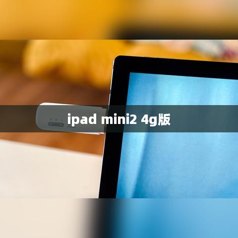 ipad mini2 4g版  第1张