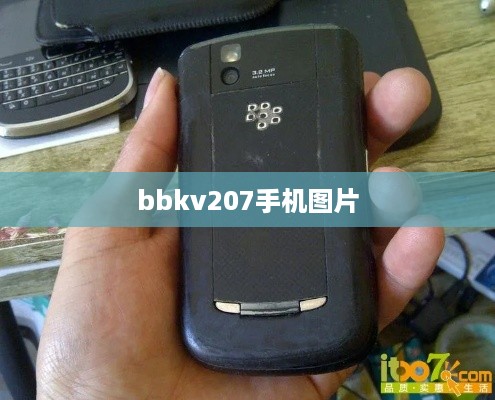 bbkv207手机图片