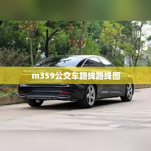 m359公交车路线路线图
