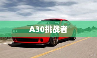 A30挑战者