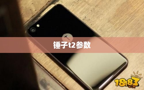 锤子t2参数