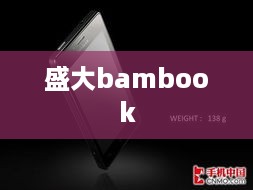 盛大bambook  第1张