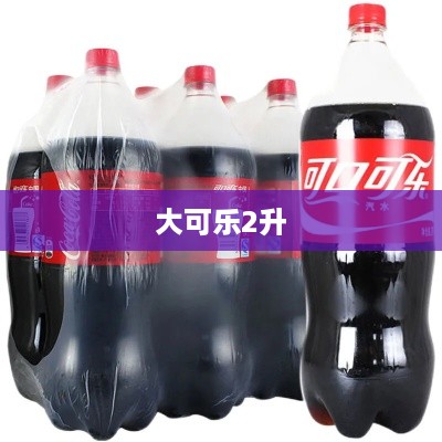 大可乐2升