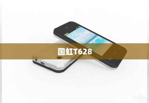 国虹T628  第1张