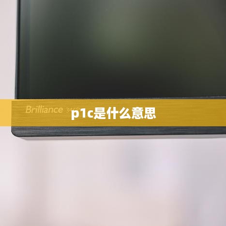 p1c是什么意思  第1张