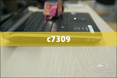 c7309  第1张