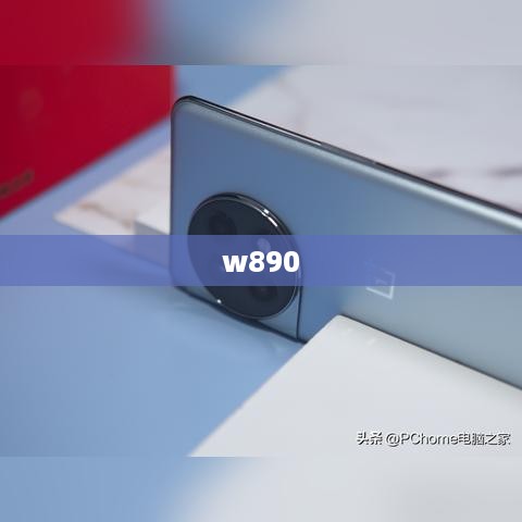 w890  第1张