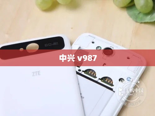 中兴 v987  第1张