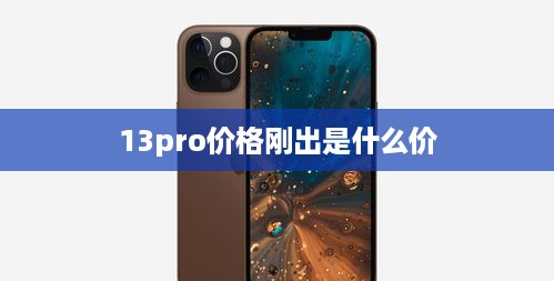 13pro价格刚出是什么价  第1张