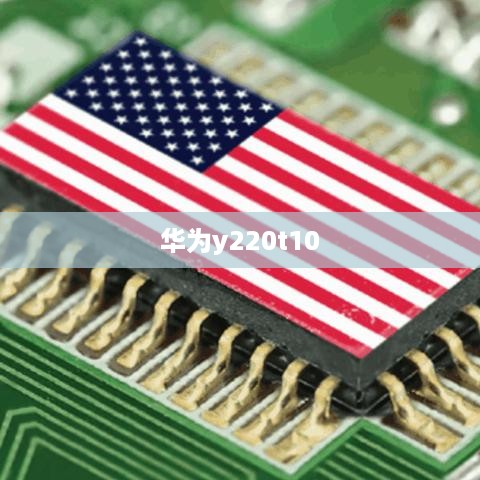 华为y220t10  第1张