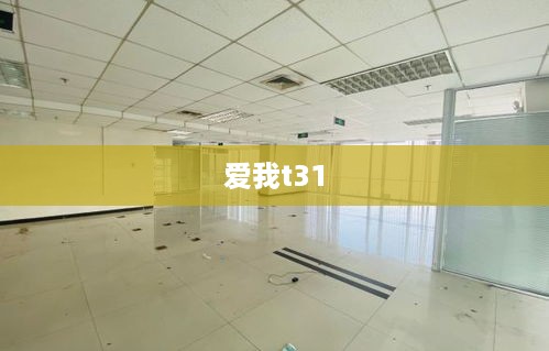 爱我t31