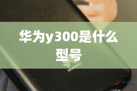 华为y300是什么型号