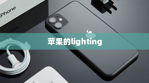 苹果的lighting