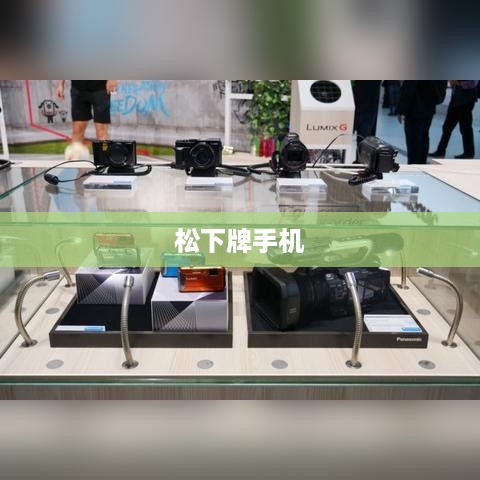 松下牌手机