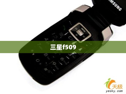 三星f509