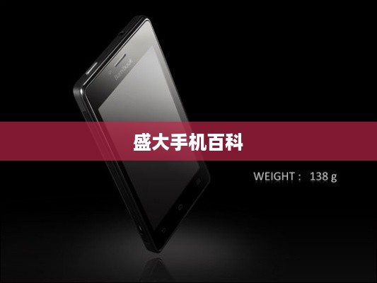 盛大手机百科
