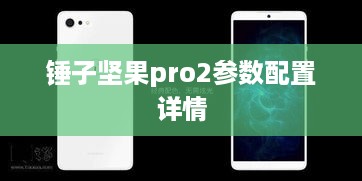 锤子坚果pro2参数配置详情