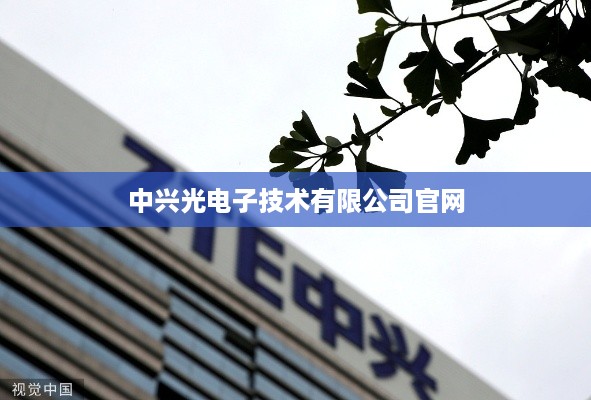 中兴光电子技术有限公司官网