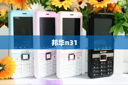 邦华n31