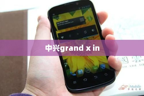 中兴grand x in