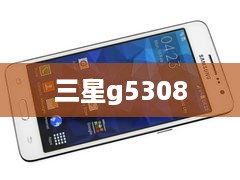 三星g5308