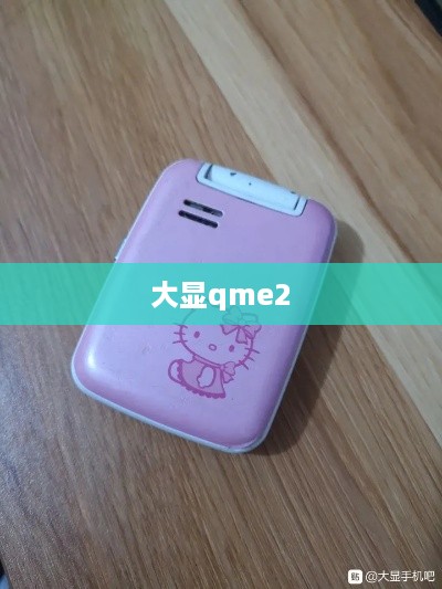 大显qme2
