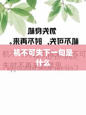 机不可失的下一句是时不再来。