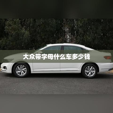 大众带字母车型价格参考