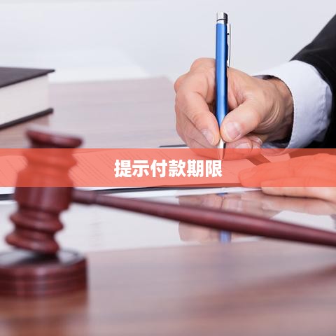 提示付款期限的注意事项