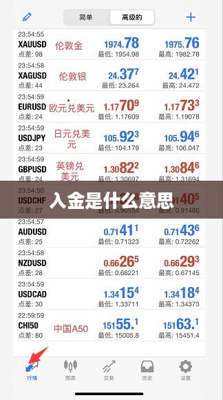 入金的含义