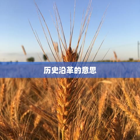 历史沿革的含义