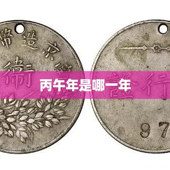 丙午年是指农历一甲子中的一个年份，最近的丙午年为1966年和2026年。