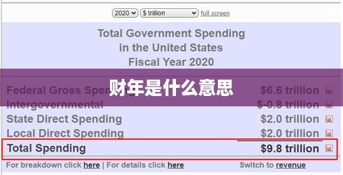 财年定义及解释