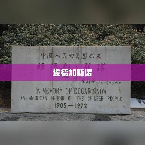 埃德加·斯诺，一位记录历史的记者