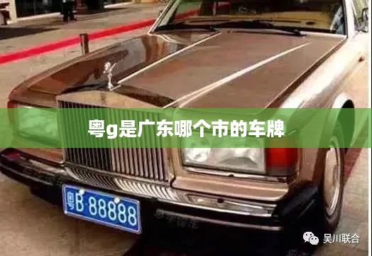 粤G是广东省湛江市的车牌。
