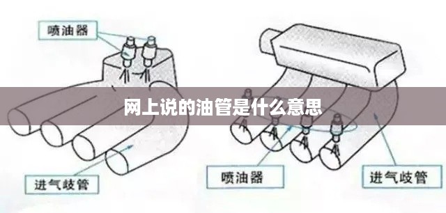 网上说的油管是指YouTube的中文音译，是一个视频分享网站。