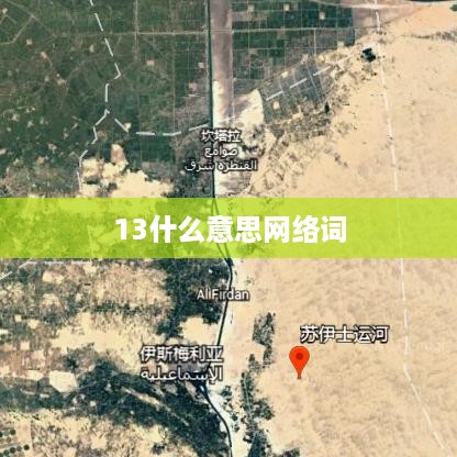 网络词13的意思解读为一生。