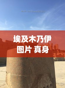 埃及木乃伊图片揭秘，探寻真身之谜