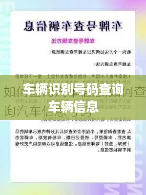 车辆识别号码（VIN）查询车辆信息