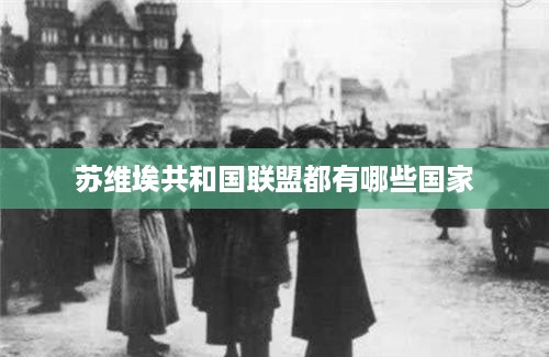 苏维埃共和国联盟的国家包括，俄罗斯、乌克兰、白俄罗斯等。