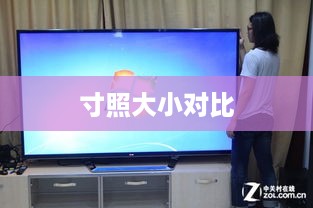寸照大小对比