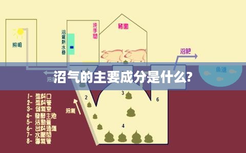 沼气的主要成分是甲烷。